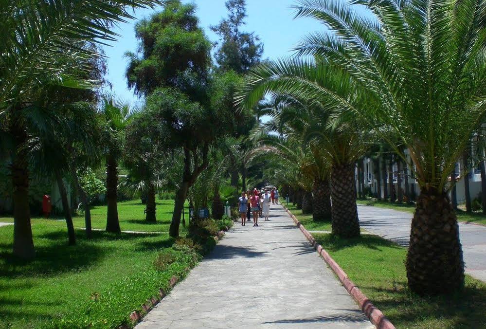 Ganita Club & Alanya